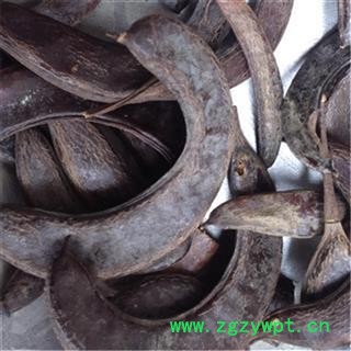 中药材 皂角 猪牙皂 皂荚 牙皂 皂荚 猪牙皂角 小皂荚图3