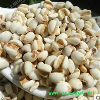 纯天然中药材【薏苡仁 薏米 薏仁】贵州 口感好  特价！图3