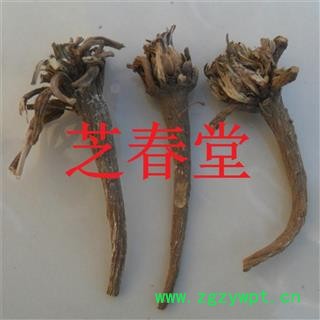 芝春堂 中药材 阿纳其根 欧都里 开日合 除虫菊根图2