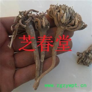 芝春堂 中药材 阿纳其根 欧都里 开日合 除虫菊根图3