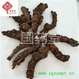 羌活 选 产地 四川省阿坝藏族羌族自治州 国药堂 专注品质图2