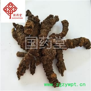 羌活 选 产地 四川省阿坝藏族羌族自治州 国药堂 专注品质图3