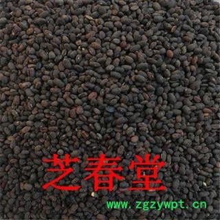 中药材 马料豆 野料豆 黑料豆 乌豆 细黑豆 稽豆 料豆图2