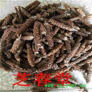 中药材夏枯草 夏枯球 棒槌草 白花草 诚信经营 质量有保证图3