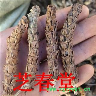 中药材夏枯草 夏枯球 棒槌草 白花草 诚信经营 质量有保证图2