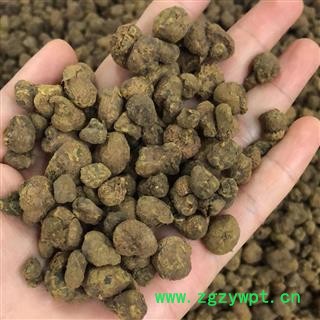 延胡索 正品元胡  晒货 2020年 统个 产地 陕西省汉中市城固县图2