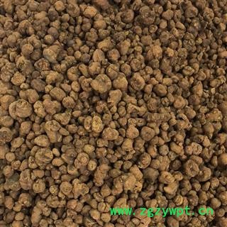 延胡索 正品元胡  晒货 2020年 统个 产地 陕西省汉中市城固县图3