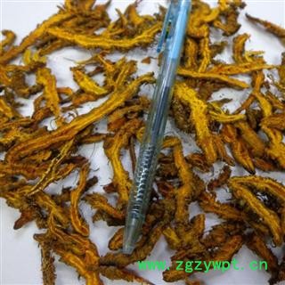 黄莲  黄连片 产地 重庆市县石柱土家族自治县图2