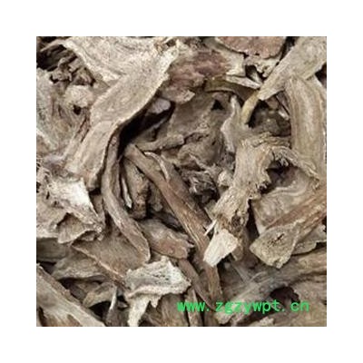 木香 片 广香  2021 产地四川绵阳