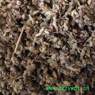 鹤虱净货选货 质量好 价格低  产地直销 产地 安徽省图2