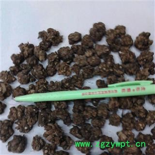 猫爪草水洗 统 产地 河北省保定市定兴县图3