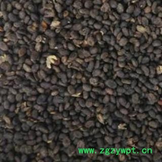 补骨脂饱满选货 质量好 价格低 产地 广西壮族自治区图2