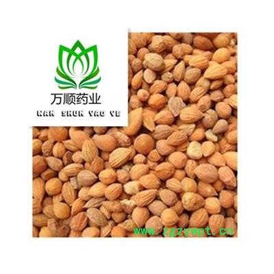 郁李仁 郁李仁选货 质量好 价格低 产地 内蒙古自治区