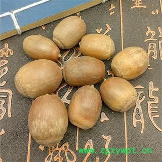橡子栗茧橡子橡实栎树果橡果橡栗  橡子图3