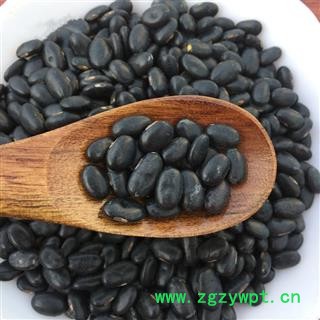 黑豆  乌豆 枝仔豆 黑大豆 中药材图3