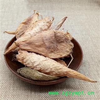 中药材天浆壳 萝摩荚 哈喇瓢 赖瓜瓢 麻雀棺材 天将壳图3