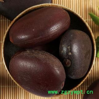 中药材过江龙子 木腰子阴阳子图2