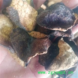 陈皮 统 产地 广东省图4