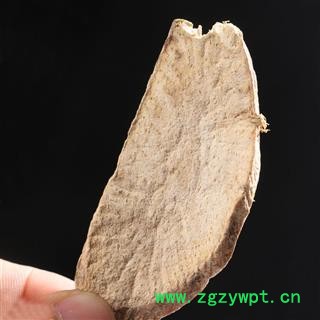 九盛堂中药材 土瓜根 王瓜根 山苦瓜 土花粉中药材图4