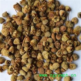 圣草康园覆盆子 覆盆莓 小托盘 攀美头 各种规格 各种价位覆盆子 批发 零售图3