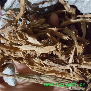 曼陀罗子新货另有花图2
