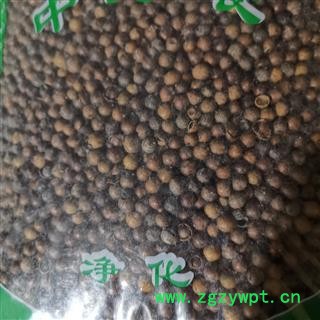 圣草康园中药材南烛子 乌饭果 南烛叶籽 墨饭叶籽、乌饭树籽大粒图3