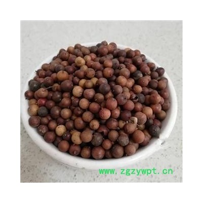 圣草康园中药材南烛子 乌饭果 南烛叶籽 墨饭叶籽、乌饭树籽大粒