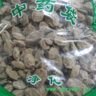 圣草康园碧桃干 桃奴 阴桃干图2