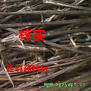 圣草康园梓实  梓实 鼠梓子 水桐产地四川图2