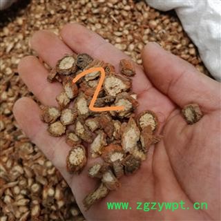 丹参 紫丹参选货 正品保证质量7天无理由退货退款 华安堂图3