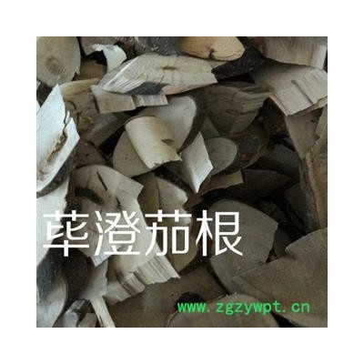 圣草康园豆豉姜  山苍子根 荜澄茄 澄茄根 荜澄茄根质量保证