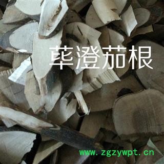 圣草康园豆豉姜  山苍子根 荜澄茄 澄茄根 荜澄茄根质量保证图2