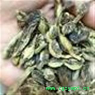 圣草康园中药材 槐角 槐实 槐子  促销图2