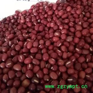 圣草康园红豆 红小豆 和赤小豆不同15日之内无条件退换图2