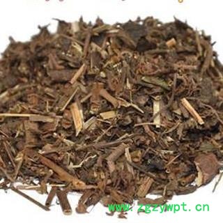 圣草康园毛麝 香毛麝 香草 凉草 凉五草辣蓟 蓝花草 辣鸡 饼草 新货图2