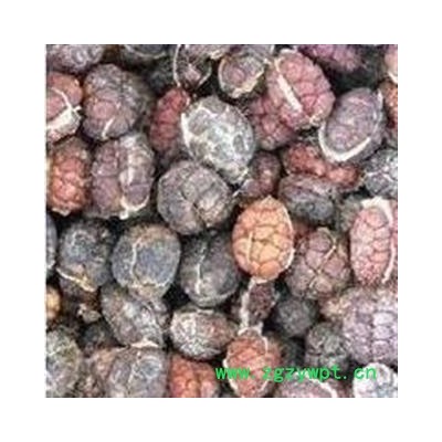 砂仁 进口砂仁米选货 产地 海外