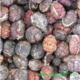 砂仁 进口砂仁米选货 产地 海外图2