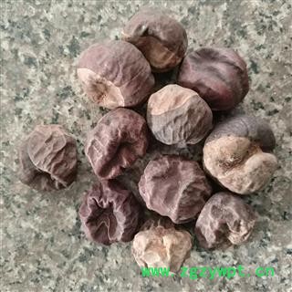 娑罗子选货 苏罗子 棱罗子 质量好 价格低  产地 浙江省图2