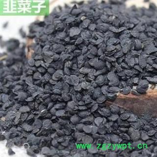 韭菜子 正品韭菜子净货 质量好 价格低 规格齐全 产地 山东省图2