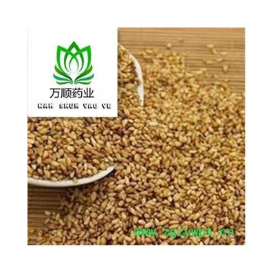 柏子仁好统货  质量好 价格低 产地直销  产地 山东省