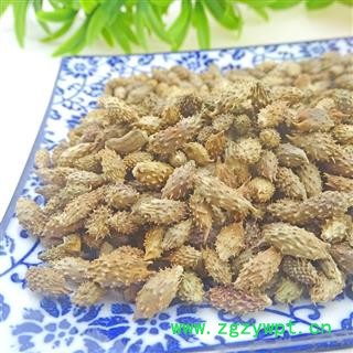 苍耳 苍耳子 中药材  牛虱子 胡苍子图3