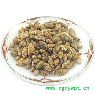 苍耳 苍耳子 中药材  牛虱子 胡苍子图4