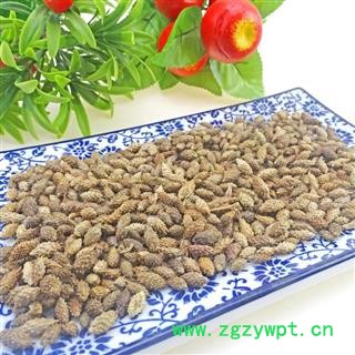 苍耳 苍耳子 中药材  牛虱子 胡苍子图2