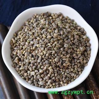 菠菜籽 菠菜子 菠薐菜子 中药材图3