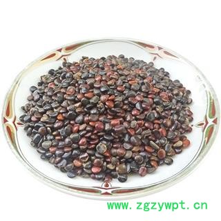 枳椇子 中药材  枳椇子茶 枳棋子枳具子枳苴子图4