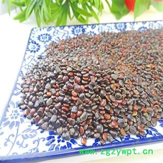 枳椇子 中药材  枳椇子茶 枳棋子枳具子枳苴子图3