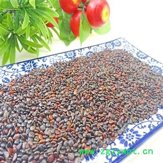 枳椇子 中药材  枳椇子茶 枳棋子枳具子枳苴子图2