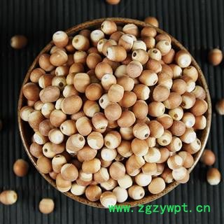芡实鸡头米 芡实仁新鲜不臭鸡头米图2