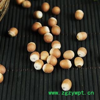 芡实鸡头米 芡实仁新鲜不臭鸡头米图3