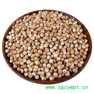 芡实鸡头米 芡实仁新鲜不臭鸡头米图4